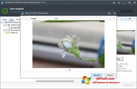 Снимка на екрана USB Flash Drive Recovery за Windows 7