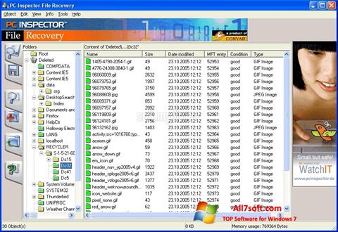 Снимка на екрана PC Inspector File Recovery за Windows 7