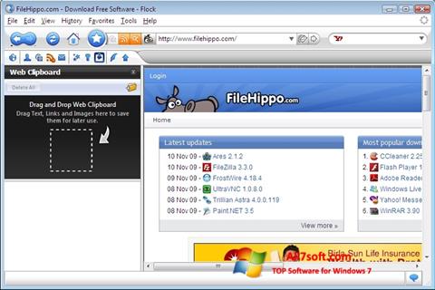 Снимка на екрана Flock за Windows 7
