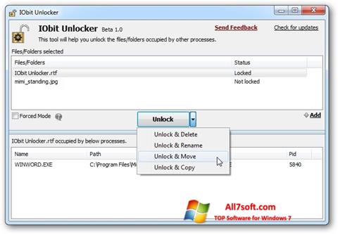 Снимка на екрана IObit Unlocker за Windows 7
