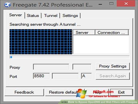 Снимка на екрана Freegate за Windows 7